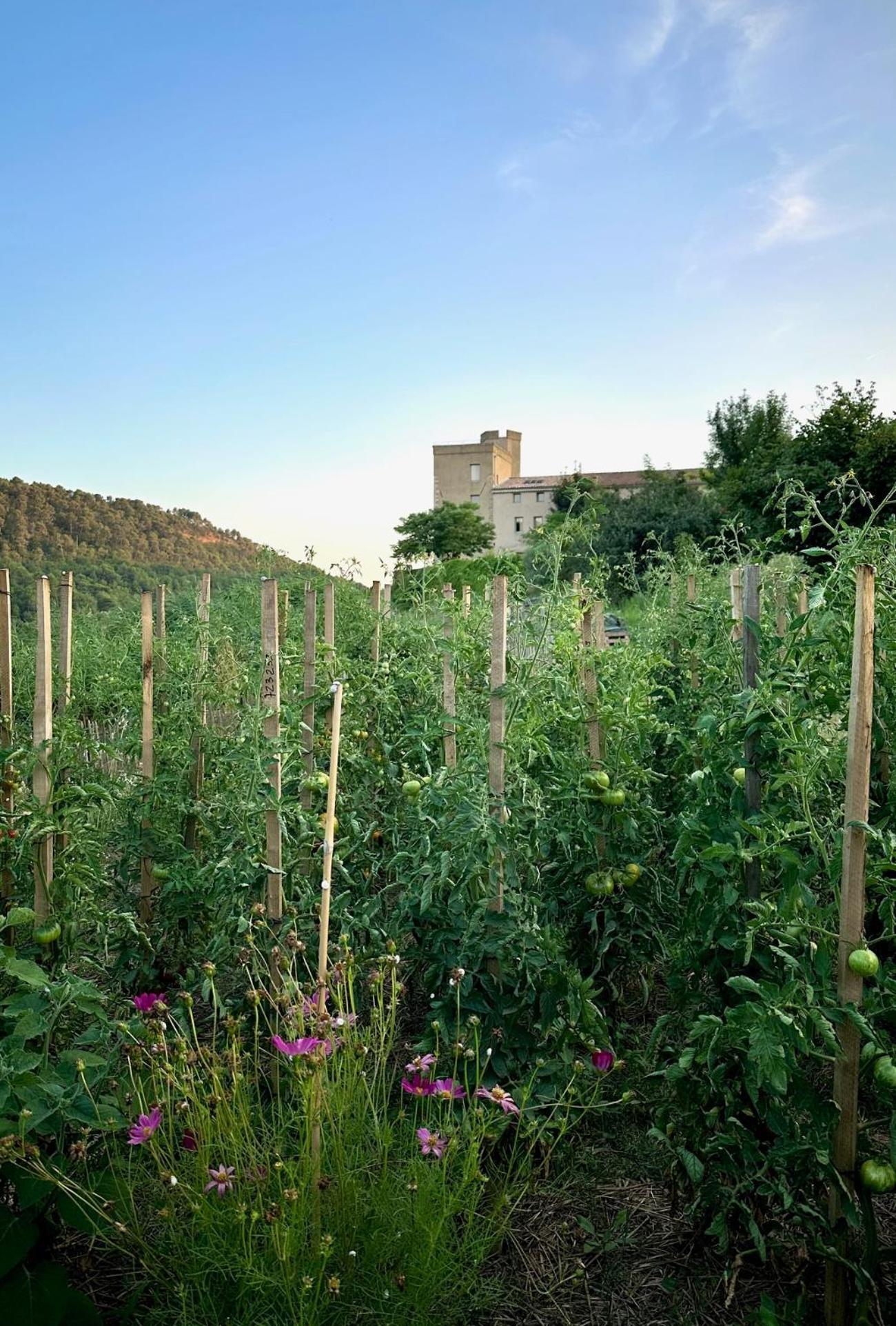 Bed and Breakfast La Ferme HI bride Villelaure Exterior foto